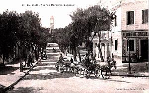 ALGER - EL-BIAR - AVENUE DU MARECHAL BUGEAUD -1912